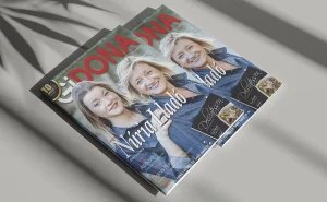 GIDONA: Novembre 2017