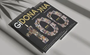 GIDONA: Desembre 2017