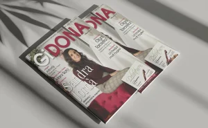 GIDONA: Desembre 2018