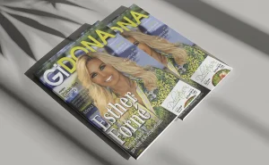 GIDONA: Maig 2019