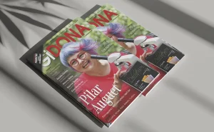 GIDONA: Desembre 2019