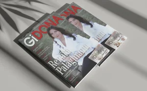 GIDONA: Desembre 2020
