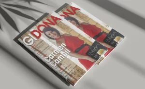 GIDONA: Desembre 2015