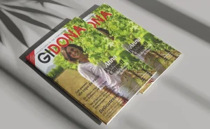 gidona 175