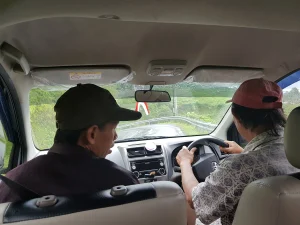 GIDONA-Companys de viatge