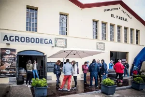 GIDONA - Festival Vívid