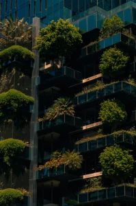 PLANTES - GIDONA