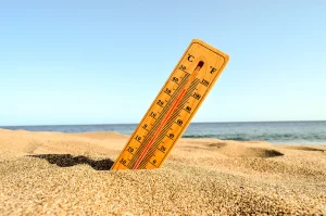 GIDONA - CALOR